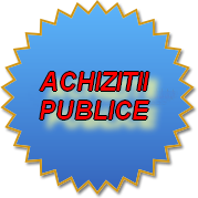 achizitii publice